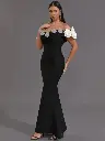 main-image-5.webp
