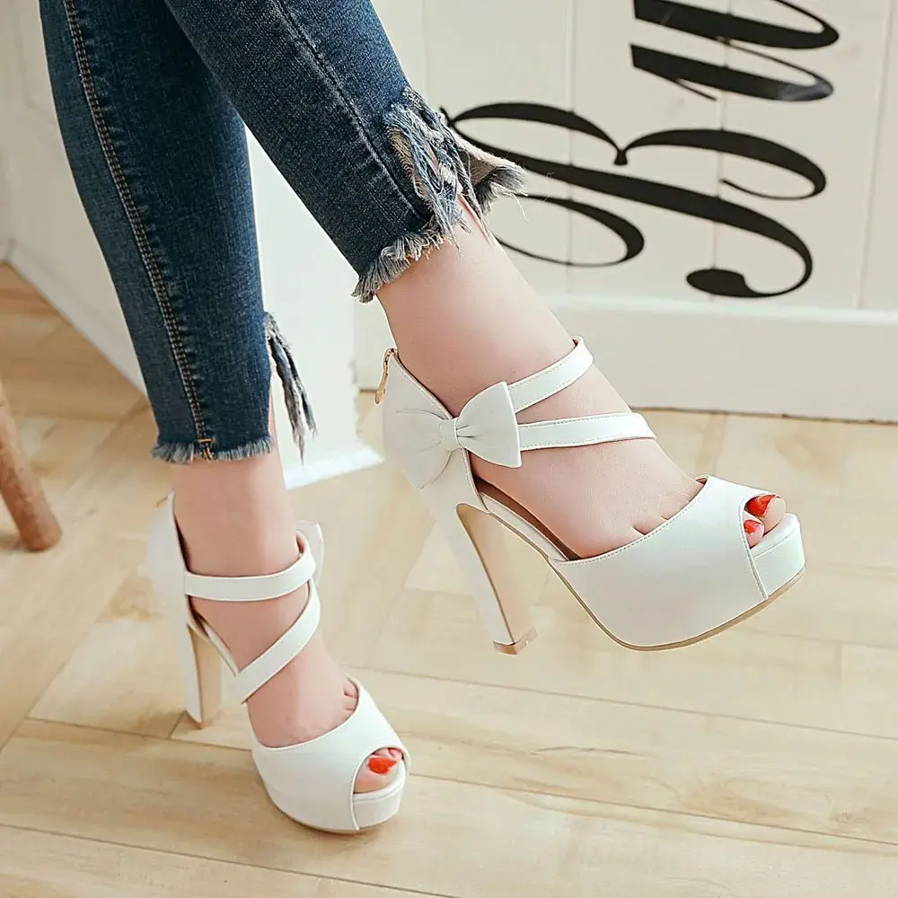 main-image-10.webp
