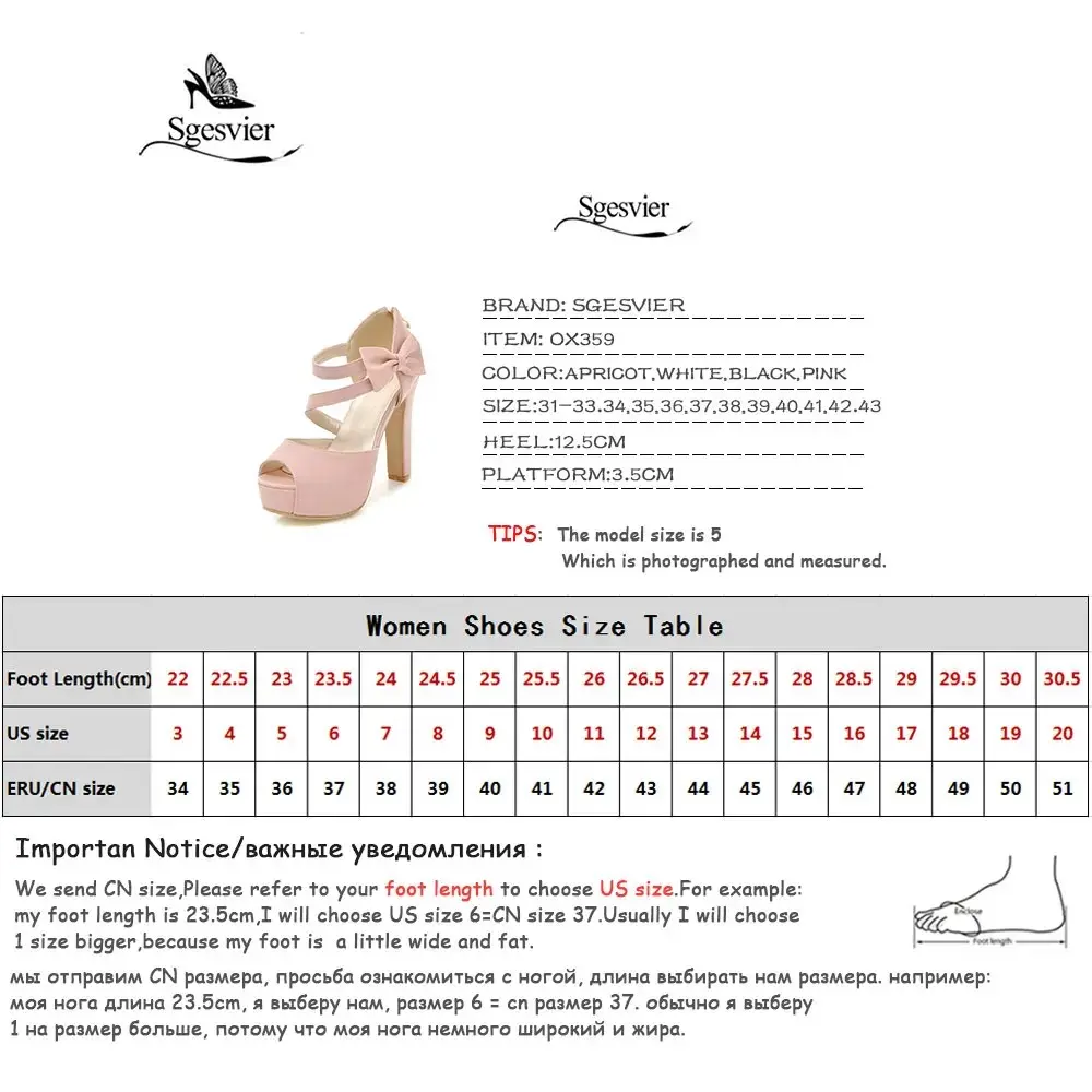 main-image-6.webp