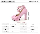 main-image-6.webp