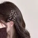 Ensemble de Barrettes à Imprimé Léopard Chic10.webp