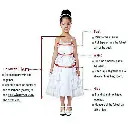 main-image-4 (10).webp