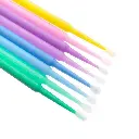 main-image-5.webp