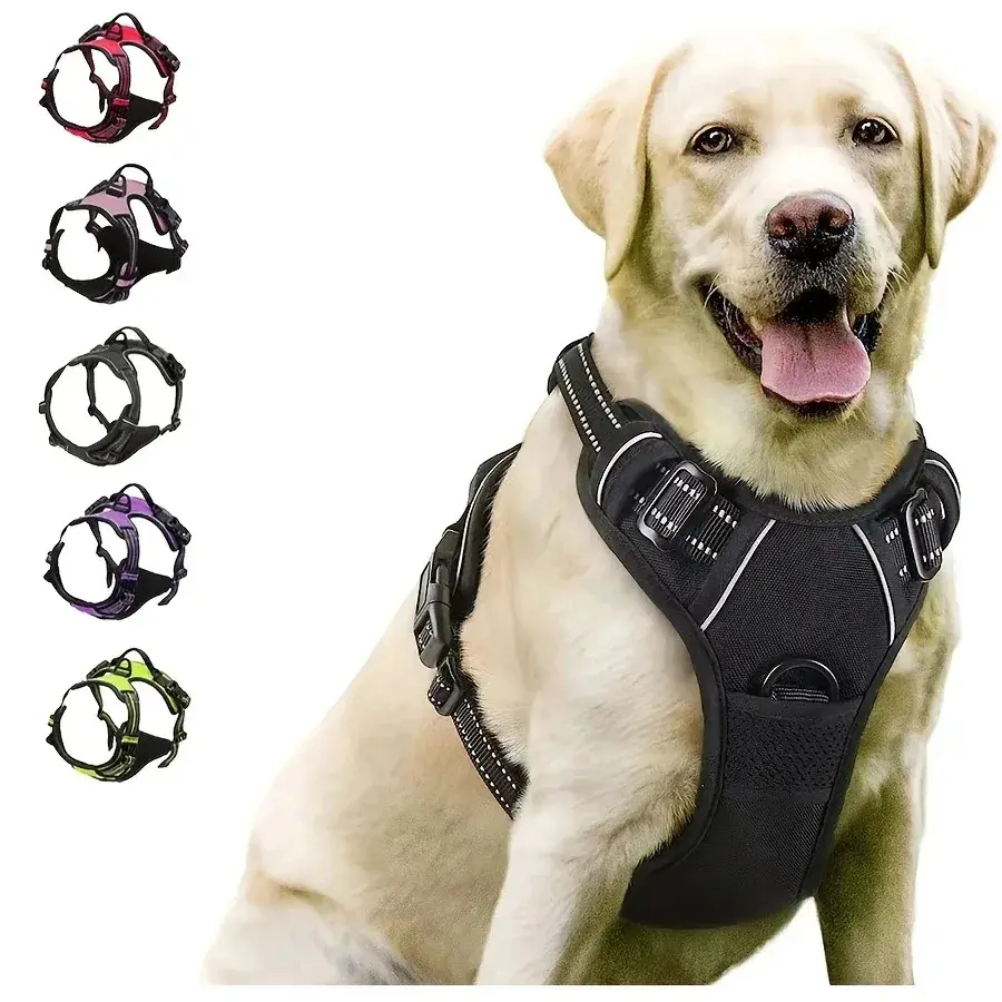 Colliers pour chiens, harnais, grands gilets, laisse, boutique d'animaux, tout pour chiens, accessoires en cuir pour chiots, ensemble moyen et petit