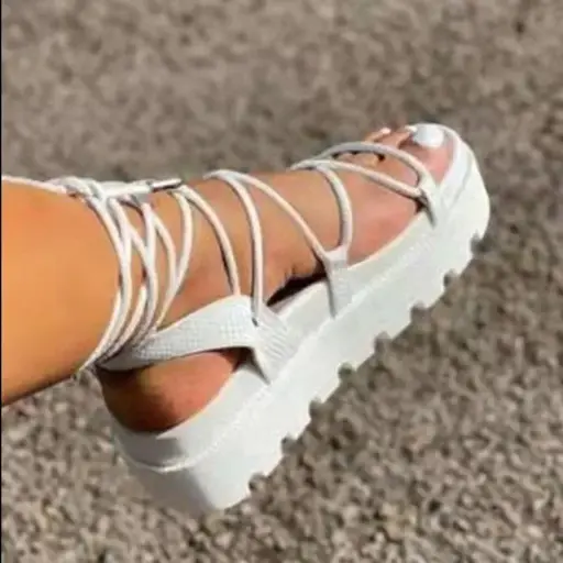 Sandales à Talons Inclinés et Fond épais pour Femmes, Nouveau Style